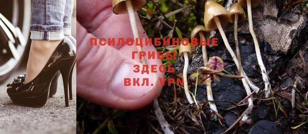 дмт Алексеевка